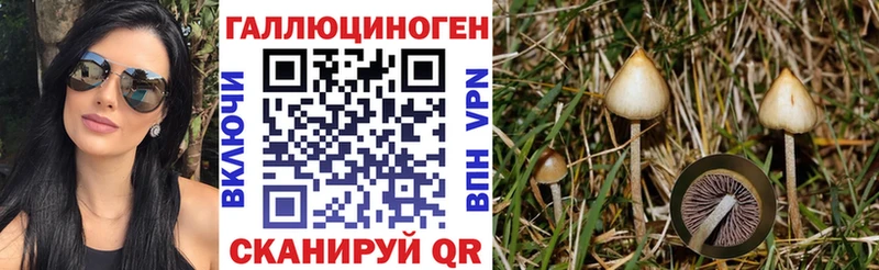 Галлюциногенные грибы прущие грибы  Советская Гавань 