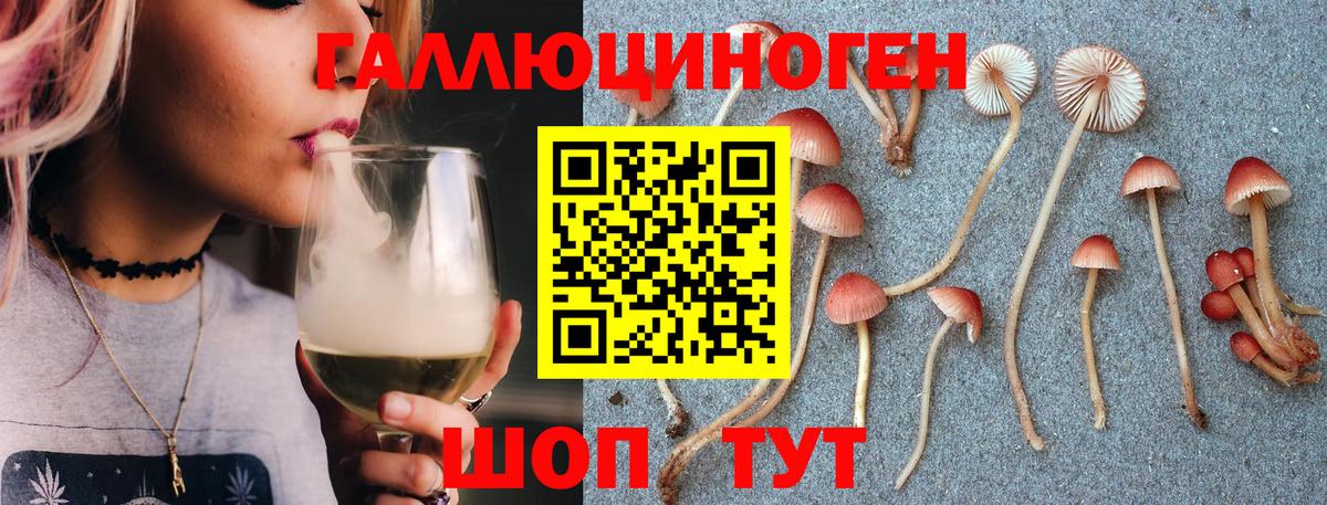 Галлюциногенные грибы Psilocybine cubensis  Вход с VPN  Советская Гавань 