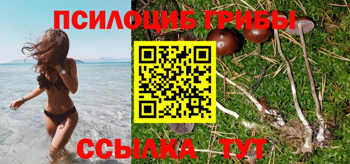 Псилоцибиновые грибы мицелий Советская Гавань